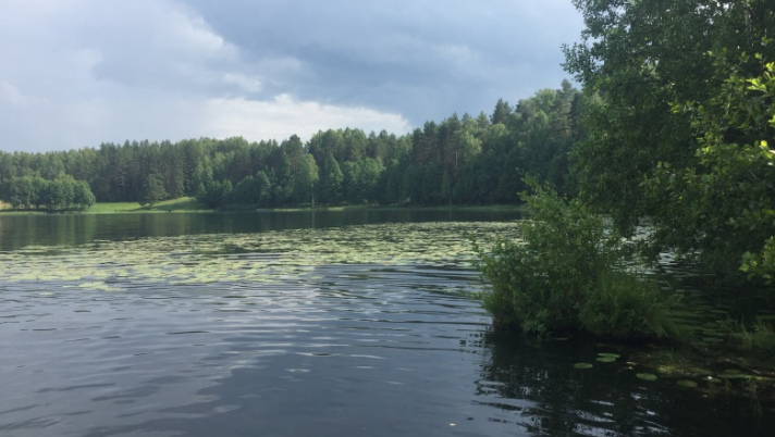 Озеро светлояр нижегородская область фото легенда