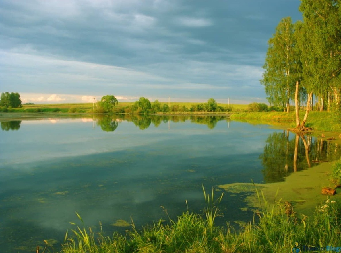 10 лучших отелей Подмосковья с теплым бассейном
