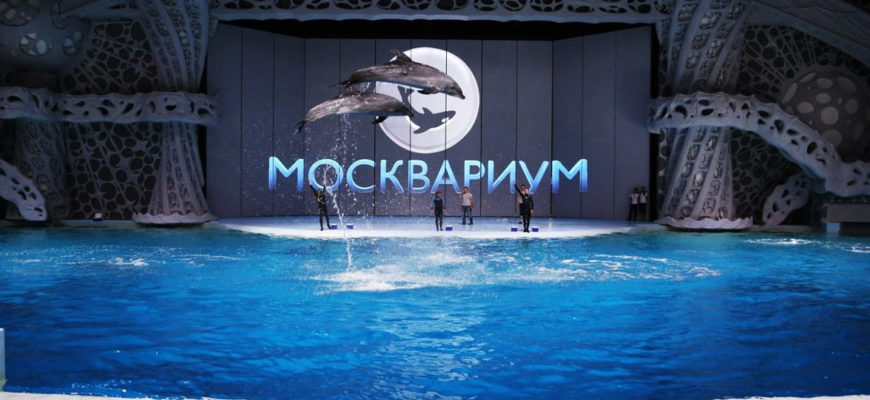 Москвариум — самый большой океанариум на ВДНХ в Москве