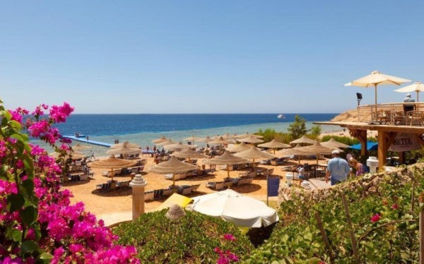 15 лучших отелей Египта с теплыми бассейнами для отдыха зимой