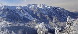 Чем заняться в Сочи зимой