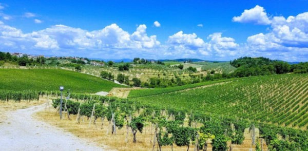 Энотуры по винным зонам Тосканы