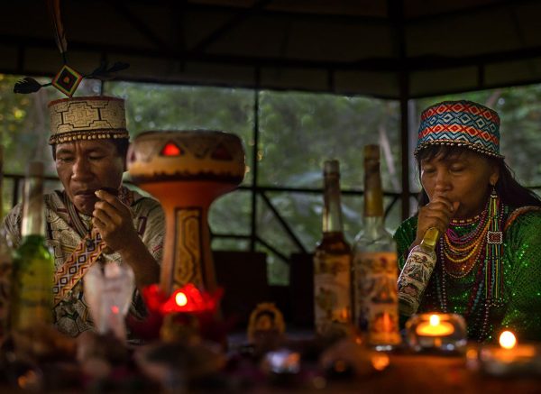 Опыт с аяуаской в Южной Америке: путешествие в неизвестное