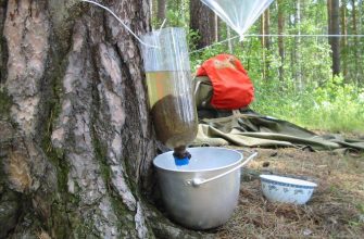 Очистка воды в походных условиях: самые популярные методы