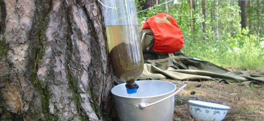 Очистка воды в походных условиях: самые популярные методы