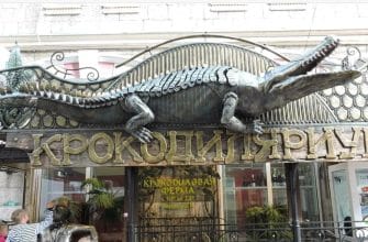 Названы 5 самых крутых детских развлечений Ялты
