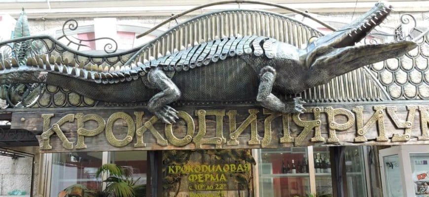 Названы 5 самых крутых детских развлечений Ялты