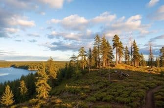 Куда увести душу: природные достопримечательности Карелии, которые стоит увидеть своими глазами