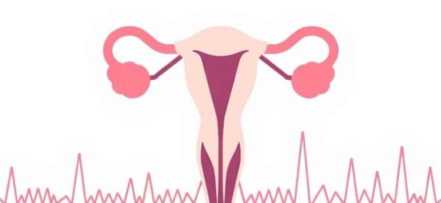 Дисплазия шейки матки: понятная инструкция о причинах, диагностике и лечении