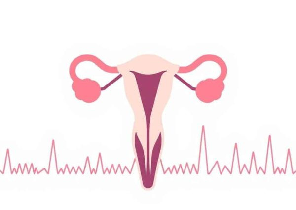 female reproductive health female reproductive healthфото