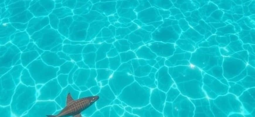 Морские экскурсии в Паттайе: как выбрать свой идеальный день на воде