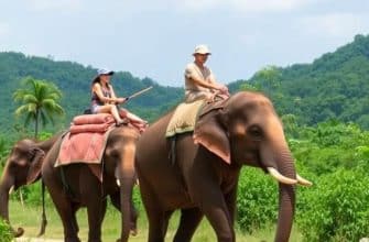 Катание на слонах на Пхукете: воспоминание на всю жизнь или этическая ловушка?